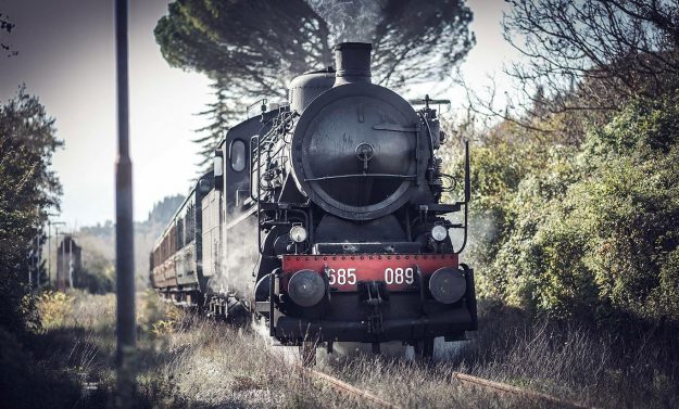 Treno Natura alla scoperta del "Diamante Bianco"