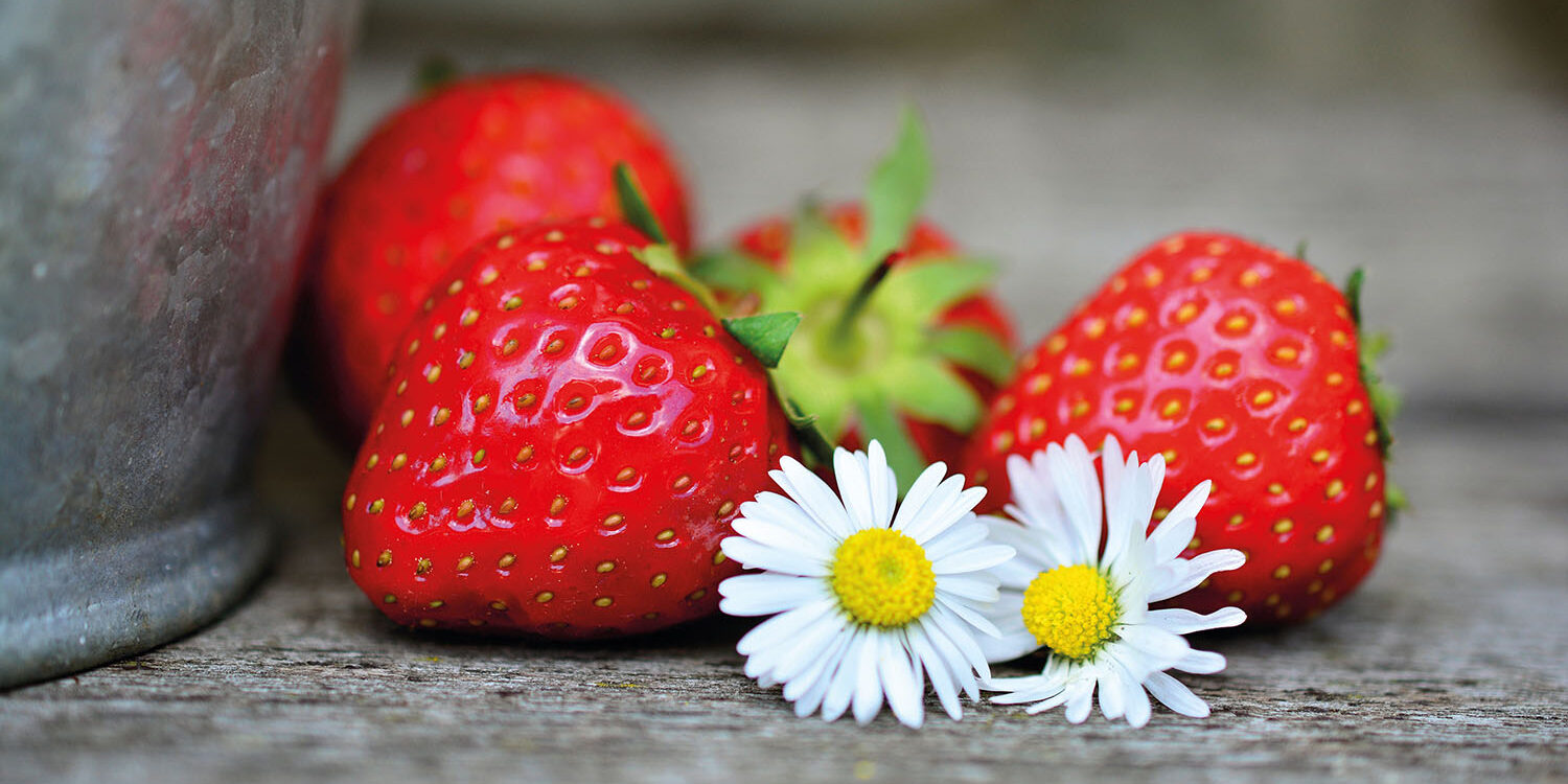 Quanto fa male il colesterolo? Quanto fa male il colesterolo?