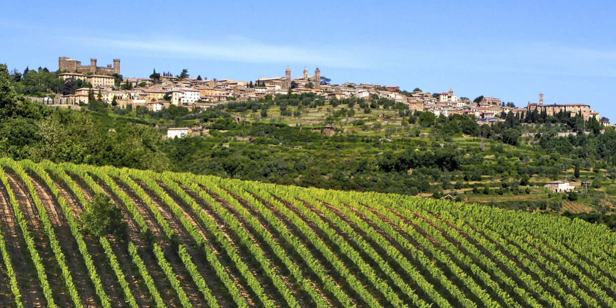 Brunello Il Brunello traino dell'enoturismo a Montalcino