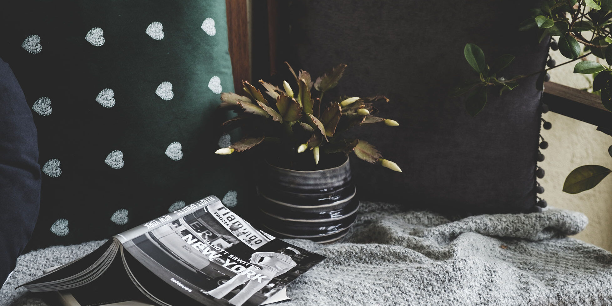 Attività da fare a casa