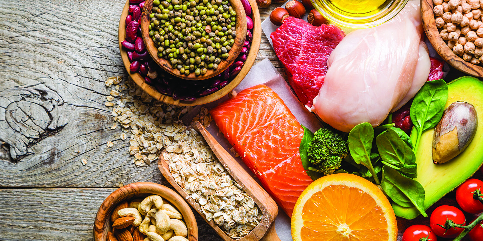 mediterranea mediterranea