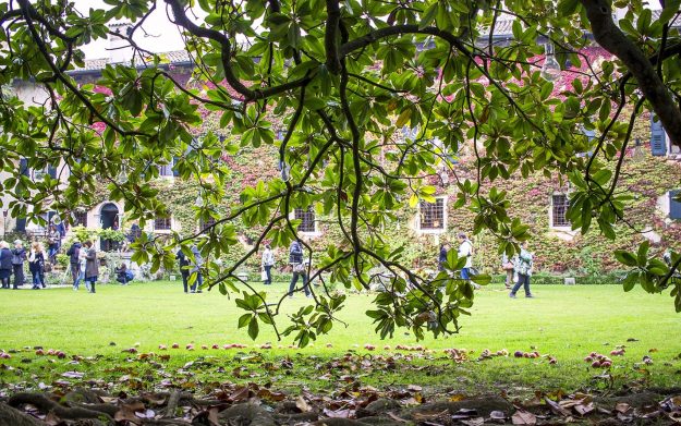 Magici intrecci autunnali al Castello di Strassoldio di Sopra 2