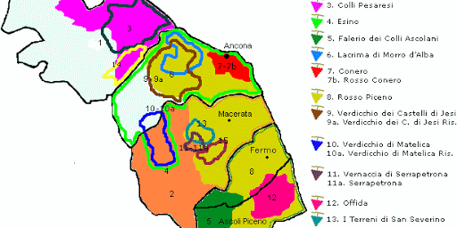 cartina vini marche