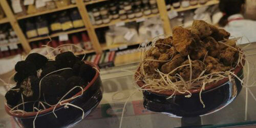 tartufo1 tartufo1