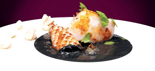 Calamaro, particolare_R