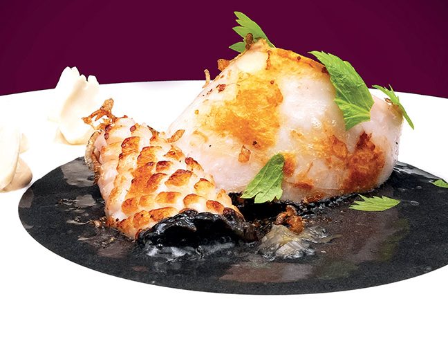 Calamaro, particolare_R