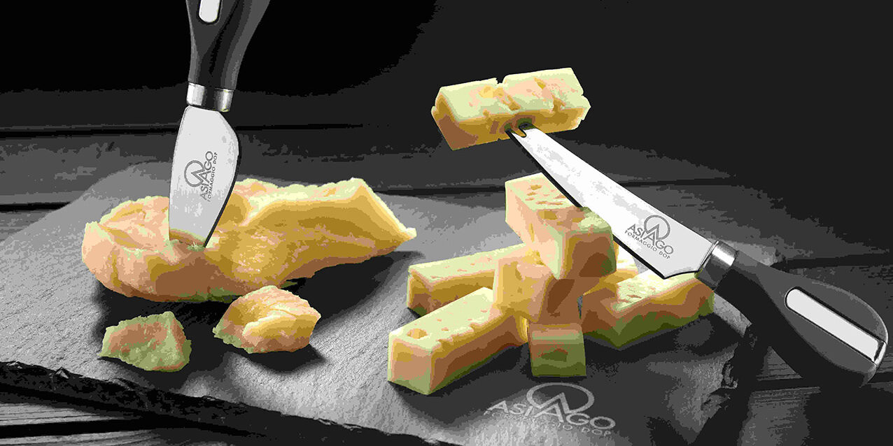 Still-life Asiago DOP