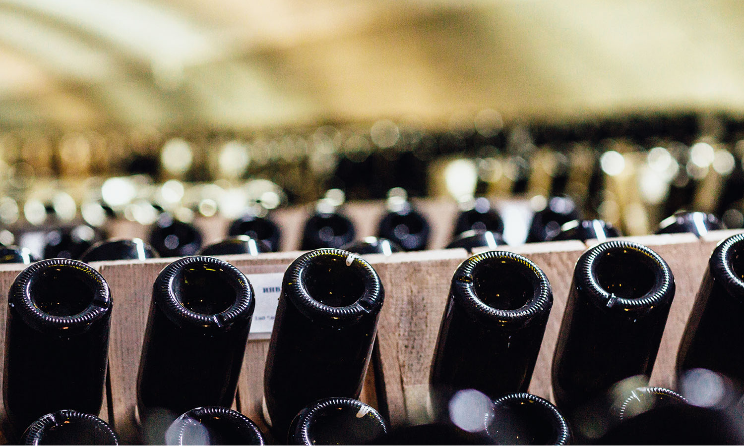 Bottiglie di vino - immagine per l'articolo Il vino che sarà - Vinaria