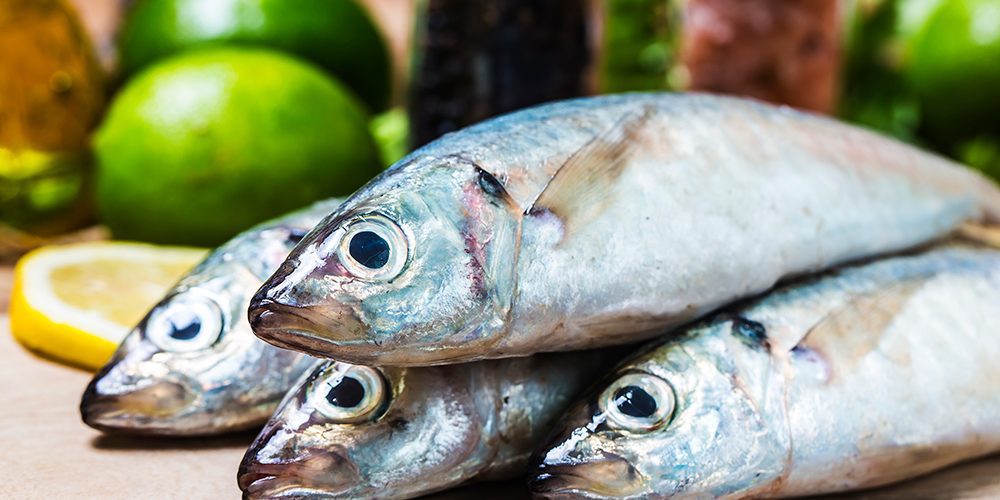 Etichette falsificate: truffa sul mercato ittico