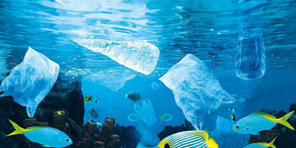 microplastiche microplastiche