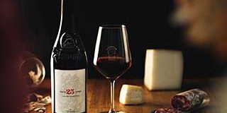 buttafuoco buttafuoco