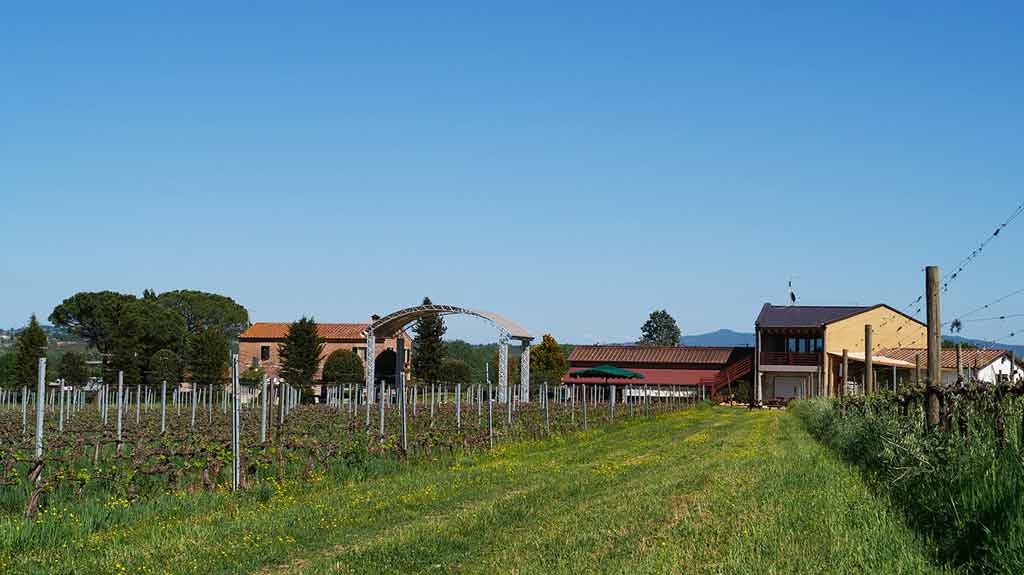 podere-e-agriturismo-dal-vigneto