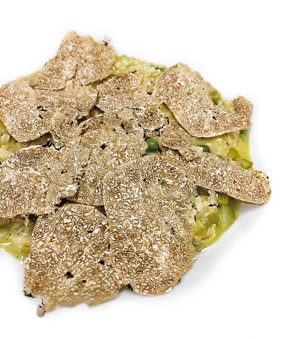 Cerro-di-Montepetra---Risotto-asparagi-e-tartufo-nero
