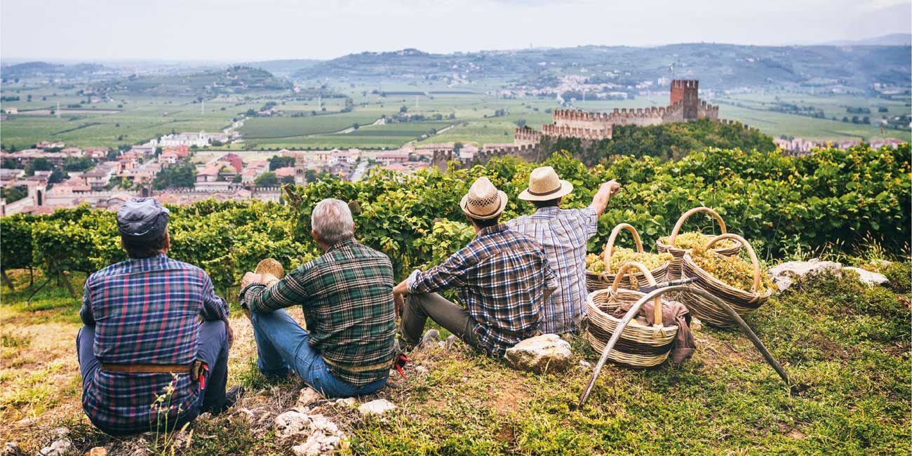 Vini Bianchi Invecchiati in Italia