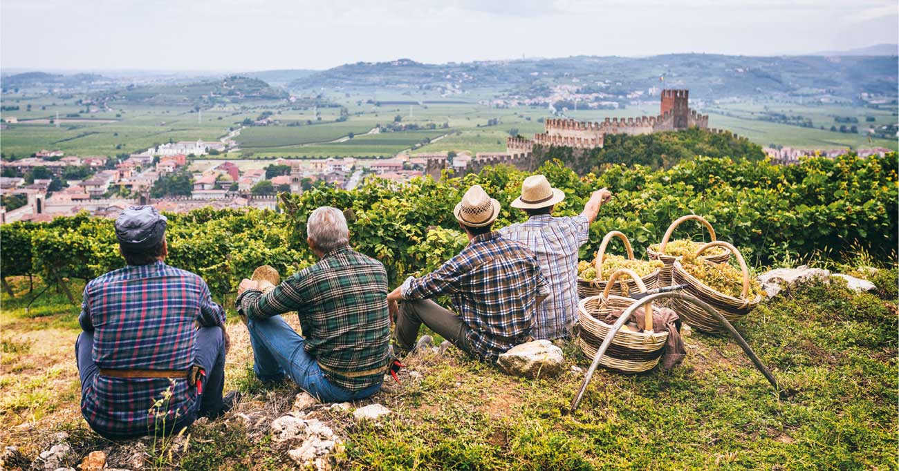 Vini Bianchi Invecchiati in Italia