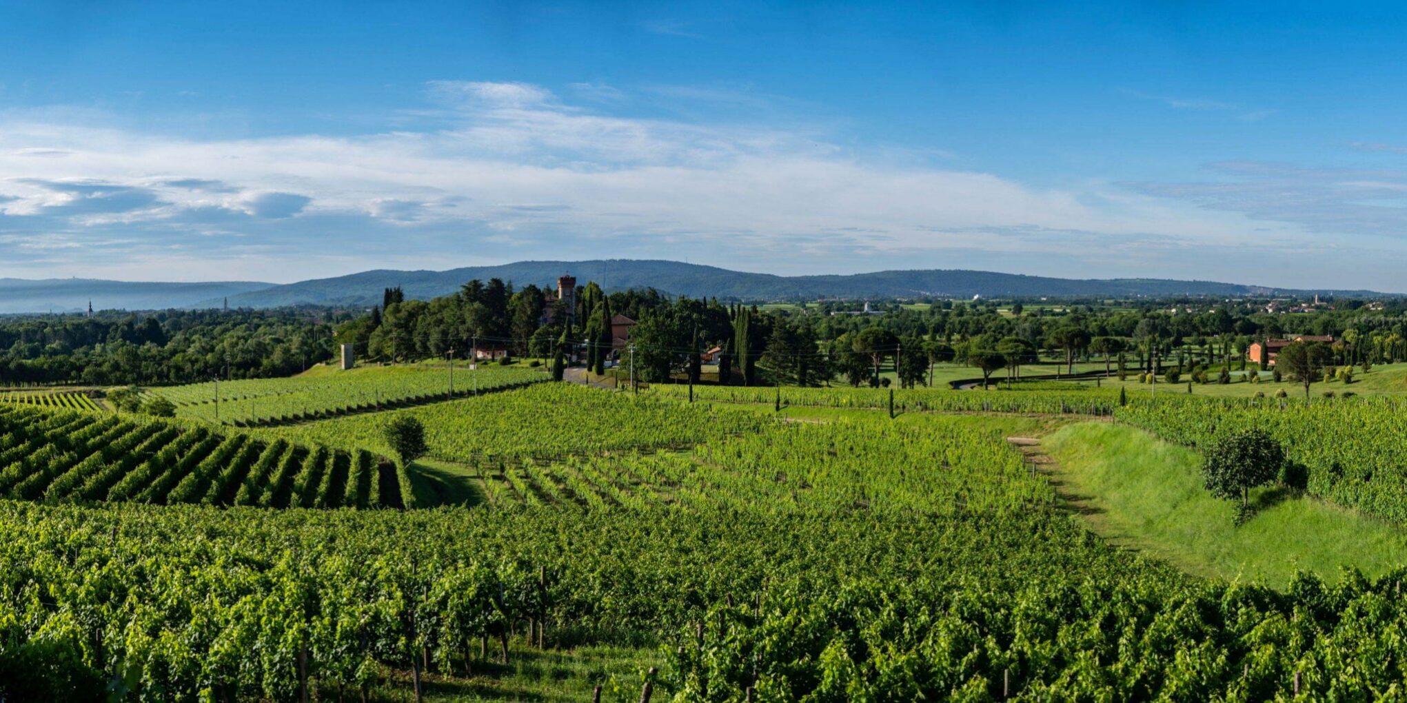 SIMONIT&SIRCH_Campus-Mario-Schiopetto