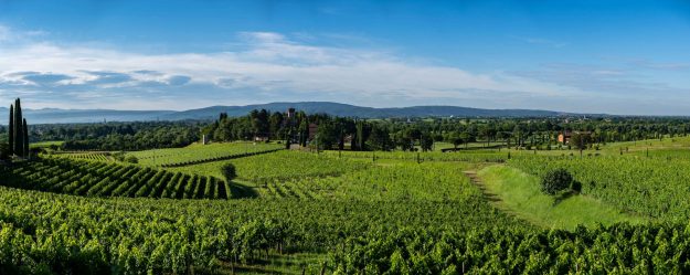 SIMONIT&SIRCH_Campus-Mario-Schiopetto