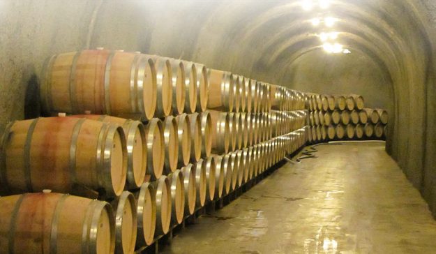 settore vitivinicolo italiano