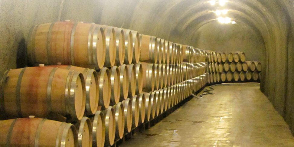 settore vitivinicolo italiano settore vitivinicolo italiano