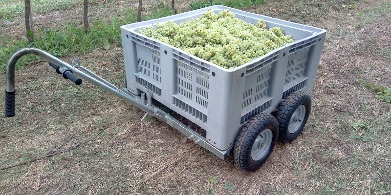 Vino: corriere vinicolo