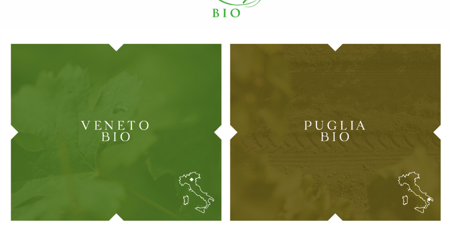 Tinazzi Bio linea vini biologici