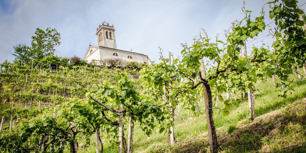 Primavera-del-prosecco-superiore-2022