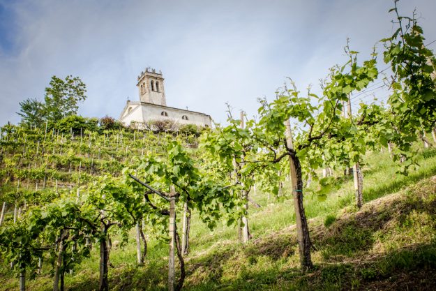 Primavera-del-prosecco-superiore-2022