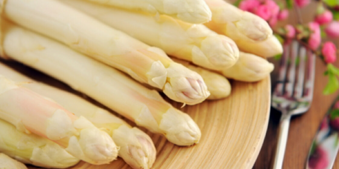 Germogli di primavera