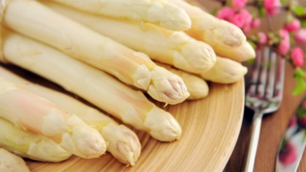 Germogli di primavera