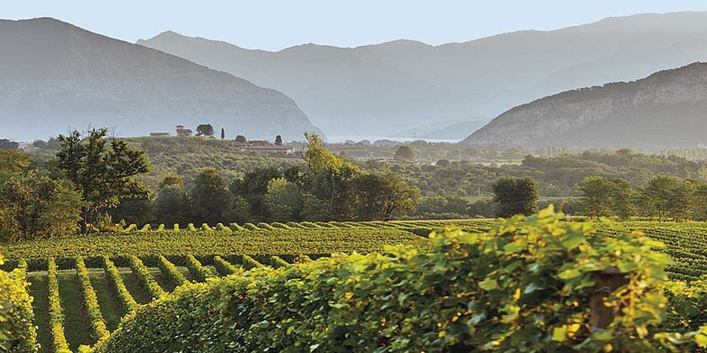 LaMadia-354-Autoctoni-minori-Lombardia