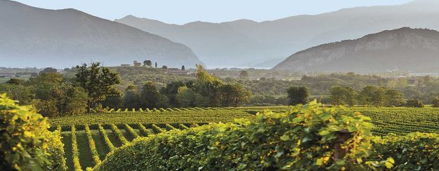 LaMadia-354-Autoctoni-minori-Lombardia