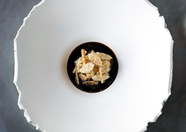 Sedano-Rapa-Sanbrite