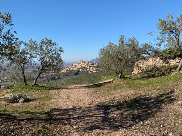 Pic nic a Trevi (Perugia), vista sul borgo dagli olivi