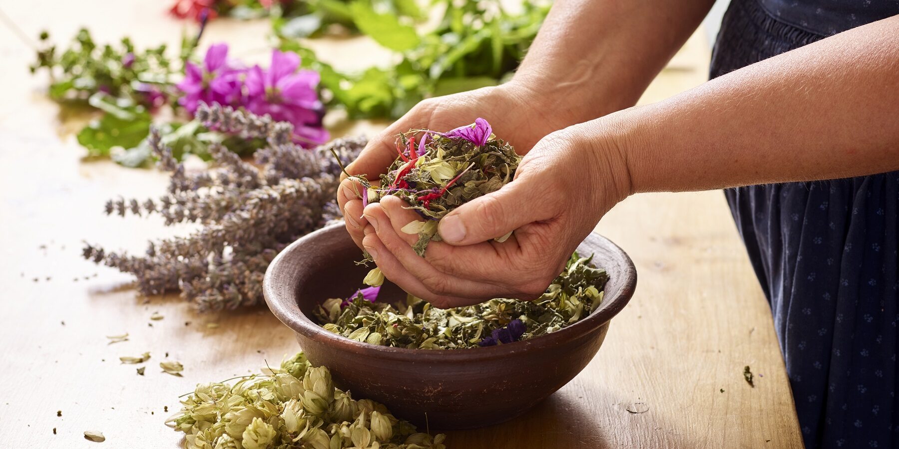 Andar per erbe Trentino in un barattolo - foto Trentino Marketing ph Carlo Baroni