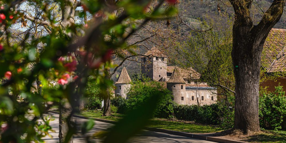 Castel-Mareccio,-@ASt-Guadagnini Castelronda Castel-Mareccio,-@ASt-Guadagnini Castelronda