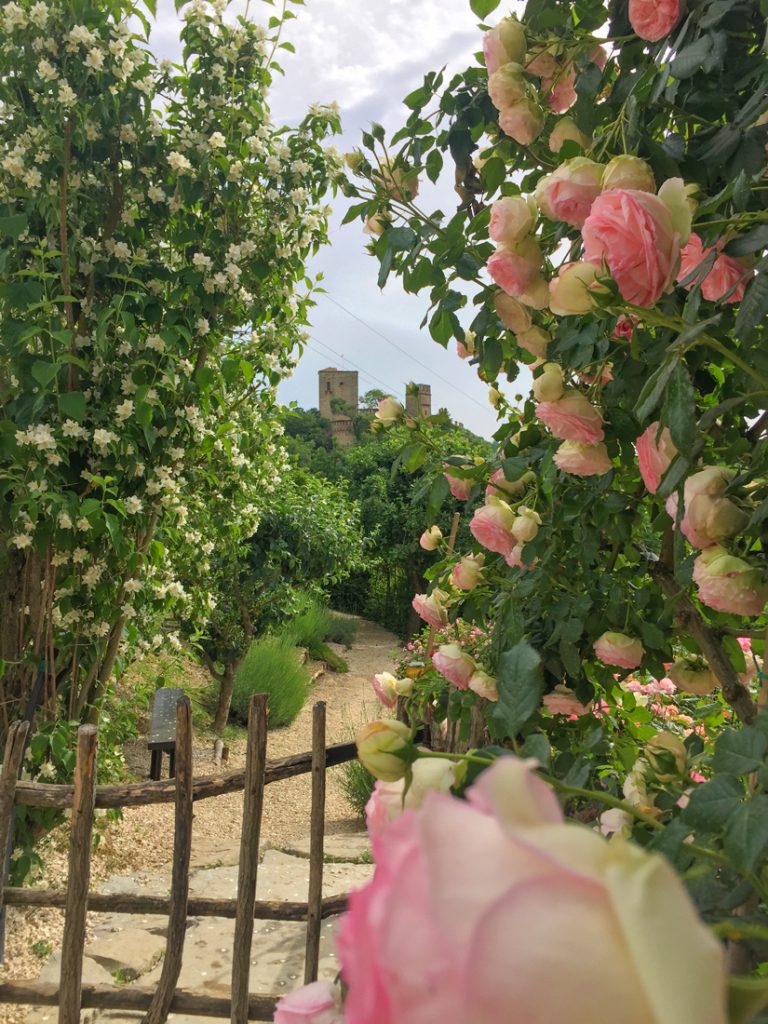 Gropparello-giardini-di-rose
