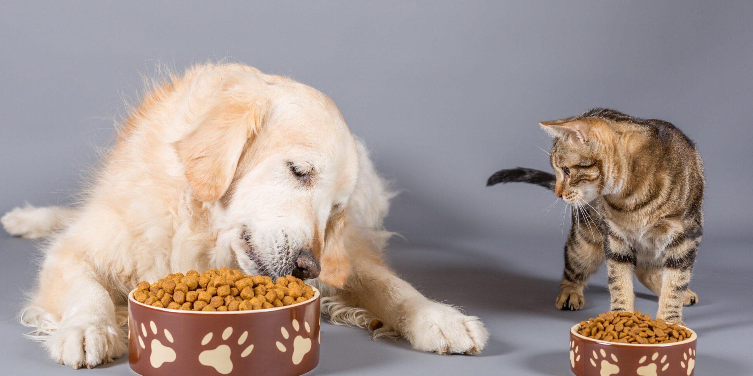 Mercato del pet food