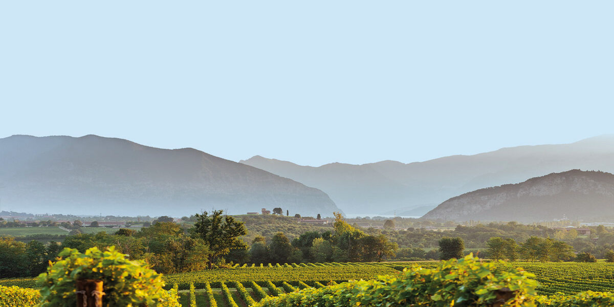 Vitigni della Lombardia, panorama vista vigneti e colline