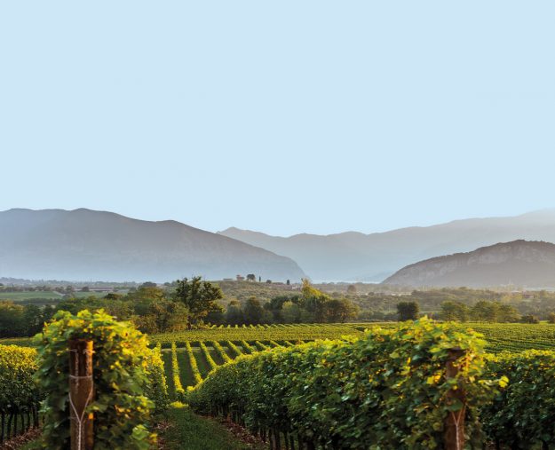 Vitigni della Lombardia, panorama vista vigneti e colline Vitigni della Lombardia, panorama vista vigneti e colline