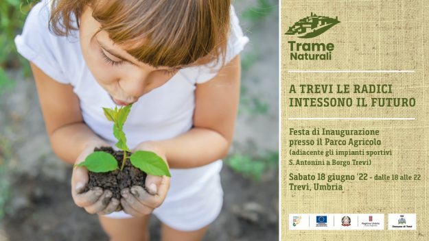 Trevi Trame naturali