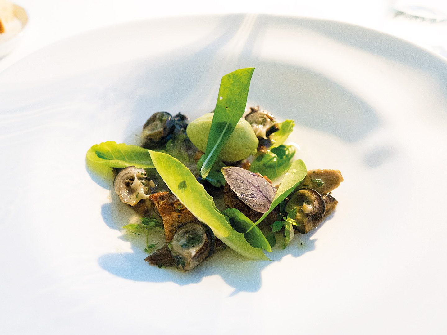 Uliassi-Acqua-di-conditella-pane-lumache-gelato-fave_R