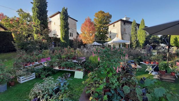 Magici-Intrecci-Autunnali