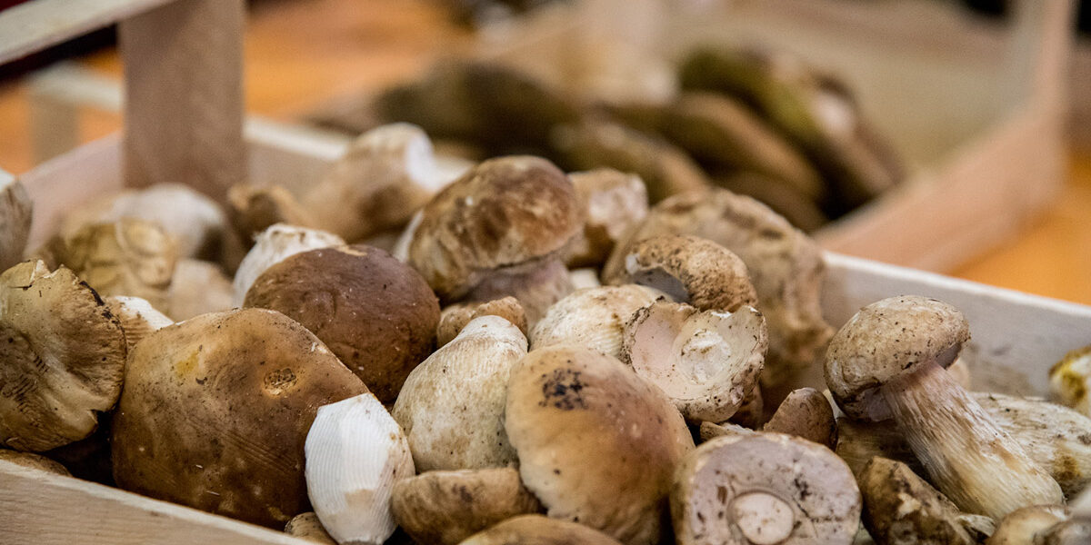 Fiera-del-Fungo-Porcino-di-Albareto---Credit-Francesca-Bocchia-(33)