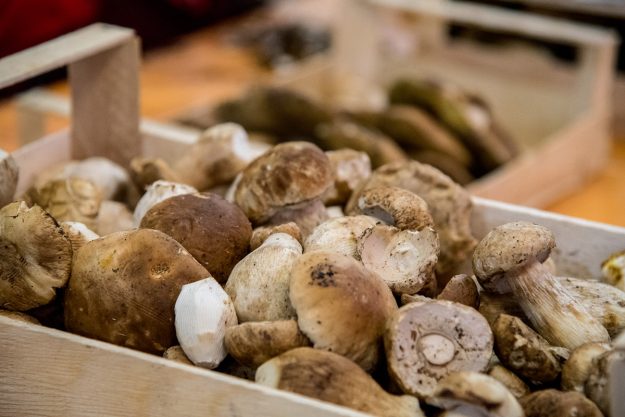 Fiera-del-Fungo-Porcino-di-Albareto—Credit-Francesca-Bocchia-(33) Fiera-del-Fungo-Porcino-di-Albareto---Credit-Francesca-Bocchia-(33)