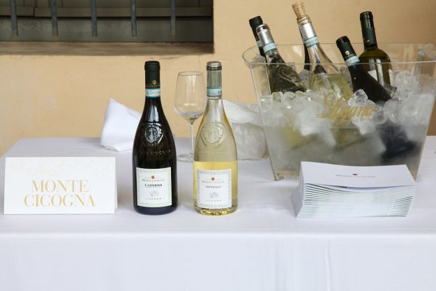 lugana-armonie-senza-tempo