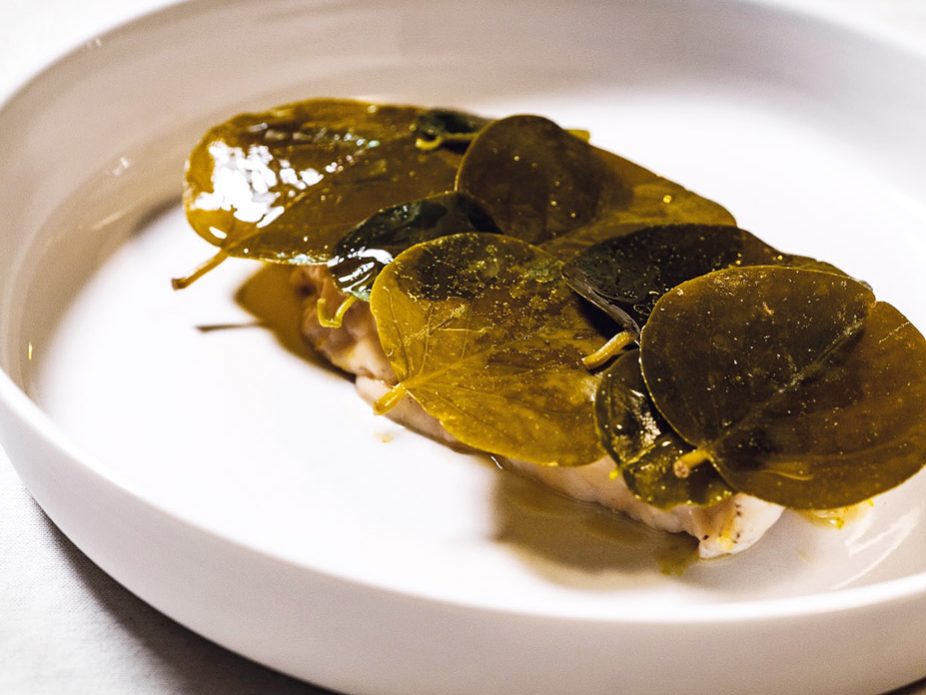 Casa-Leali-Luccioperca-alla-Gardesana-3476_R