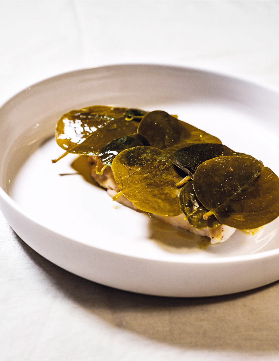 Casa-Leali-Luccioperca-alla-Gardesana-3476_R