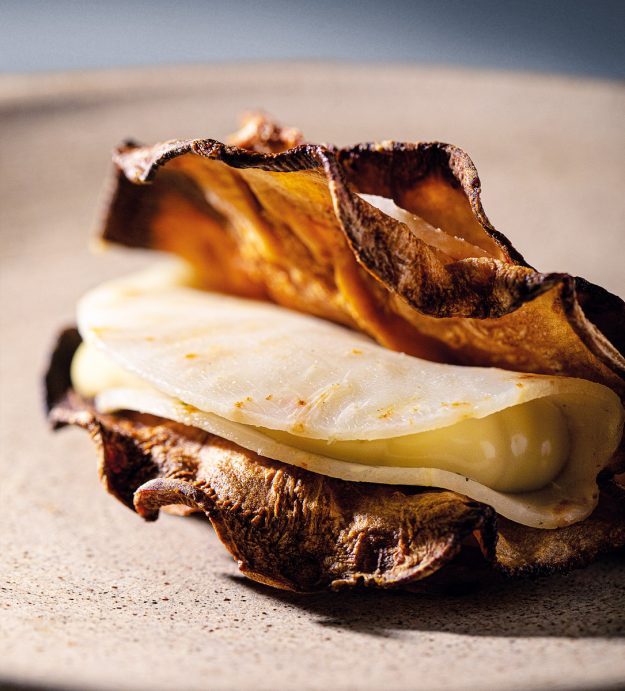 Tierra-Sedano-rapa-e-cozze-ph-AlbertoBlasetti-7256_R