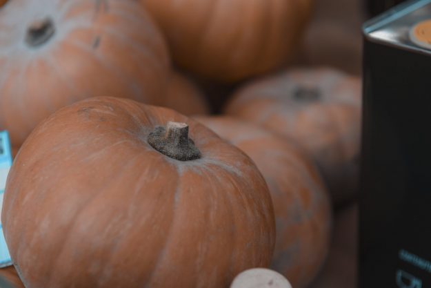 Ferrara Food Festival