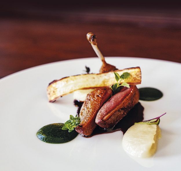 Piccione con scorzonera